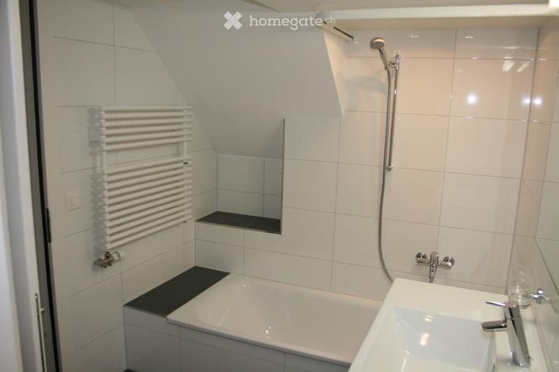 suche Nachmieter für 3,5 Zi. EG Wohnung in Horn TG (5)