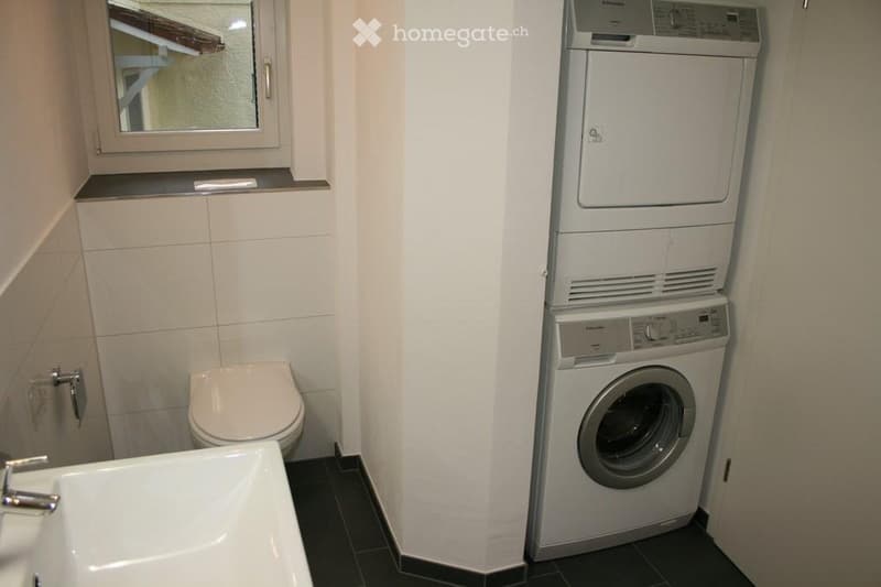 suche Nachmieter für 3,5 Zi. EG Wohnung in Horn TG (3)