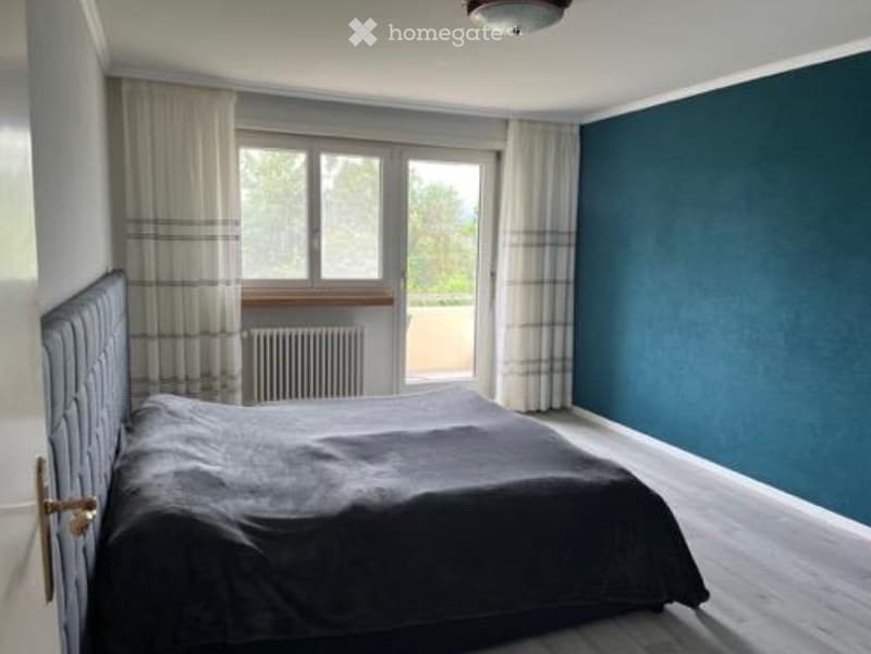 Helle 4.5Z Wohnung mit Cheminée und Limmatblick (2)