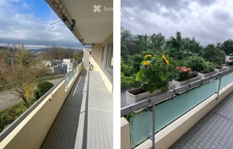 Helle 4.5Z Wohnung mit Cheminée und Limmatblick (5)