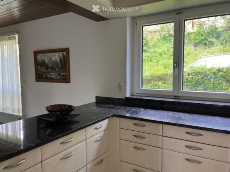 Helle 4.5Z Wohnung mit Cheminée und Limmatblick (3)