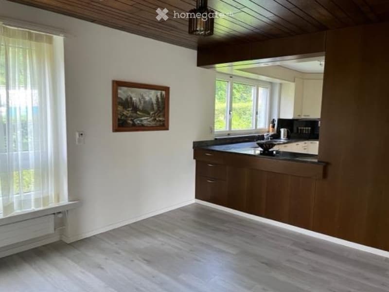 Helle 4.5Z Wohnung mit Cheminée und Limmatblick (4)