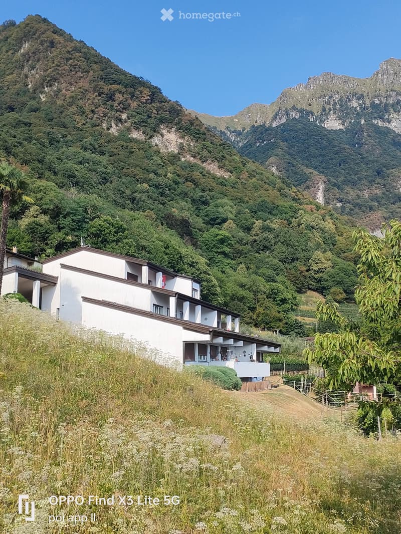 Patrizia (5)