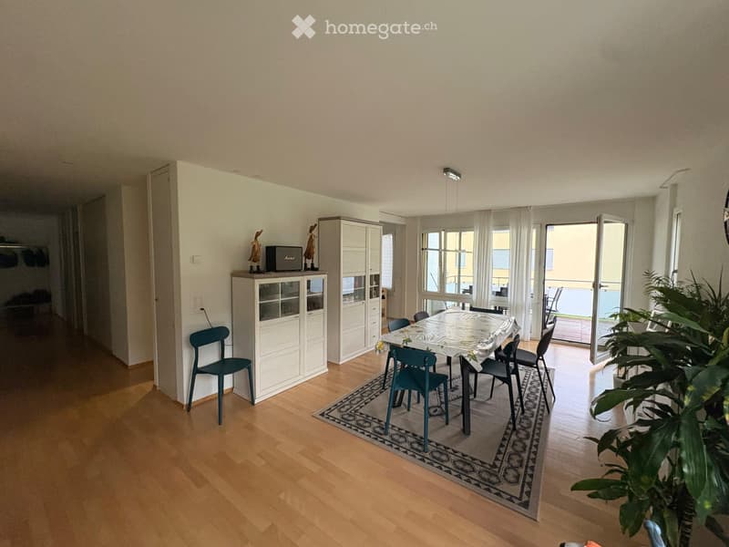 Helle 4.5-Zimmer-Wohnung mit traumhaftem Blick  Zürich 8041 (3)