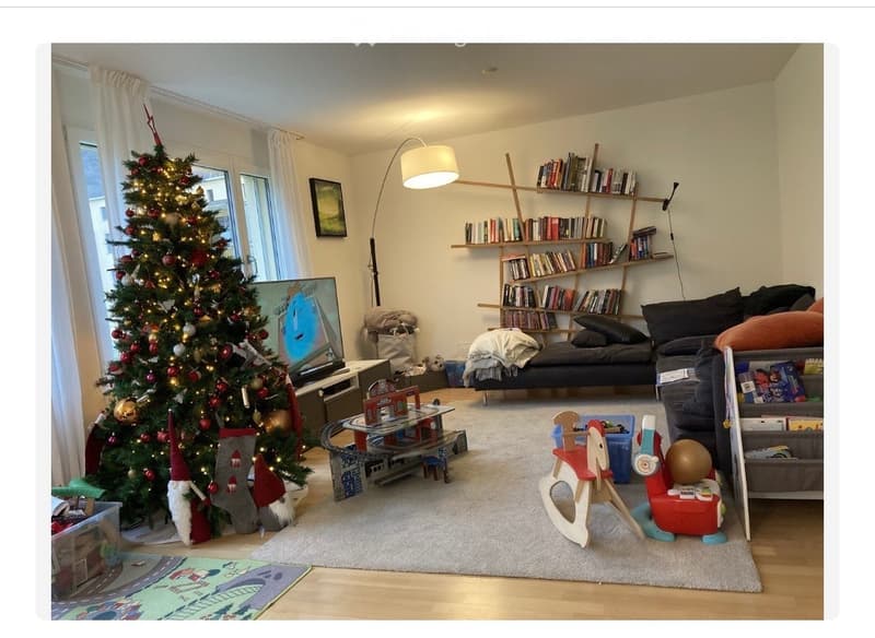 Helle 4.5-Zimmer-Wohnung mit traumhaftem Blick  Zürich 8041 (2)