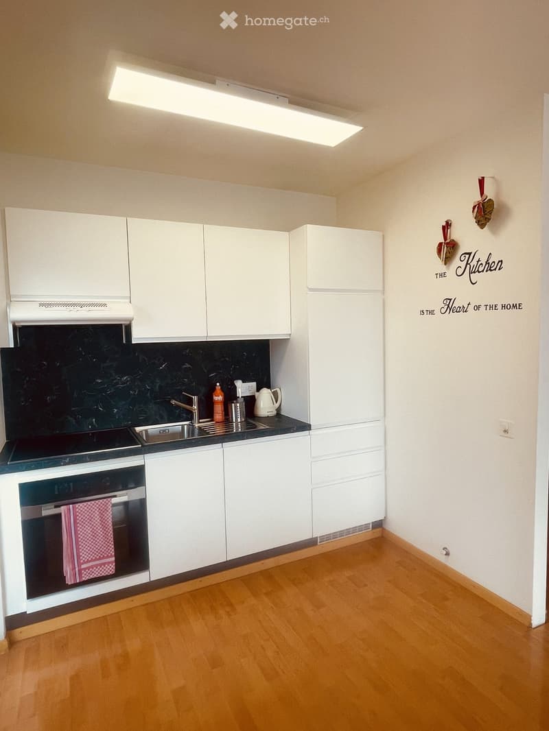 2.5 LOCALI ARREDATO CON VISTA LAGO (3)