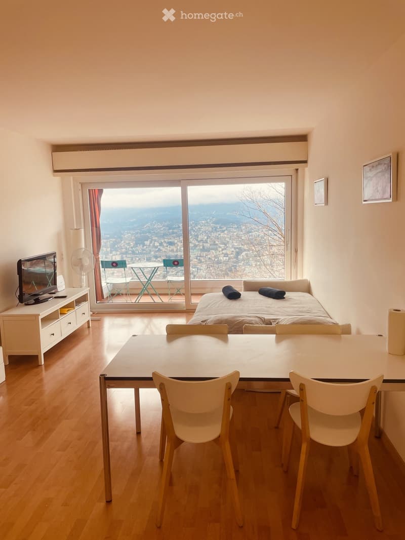 2.5 LOCALI ARREDATO CON VISTA LAGO (2)