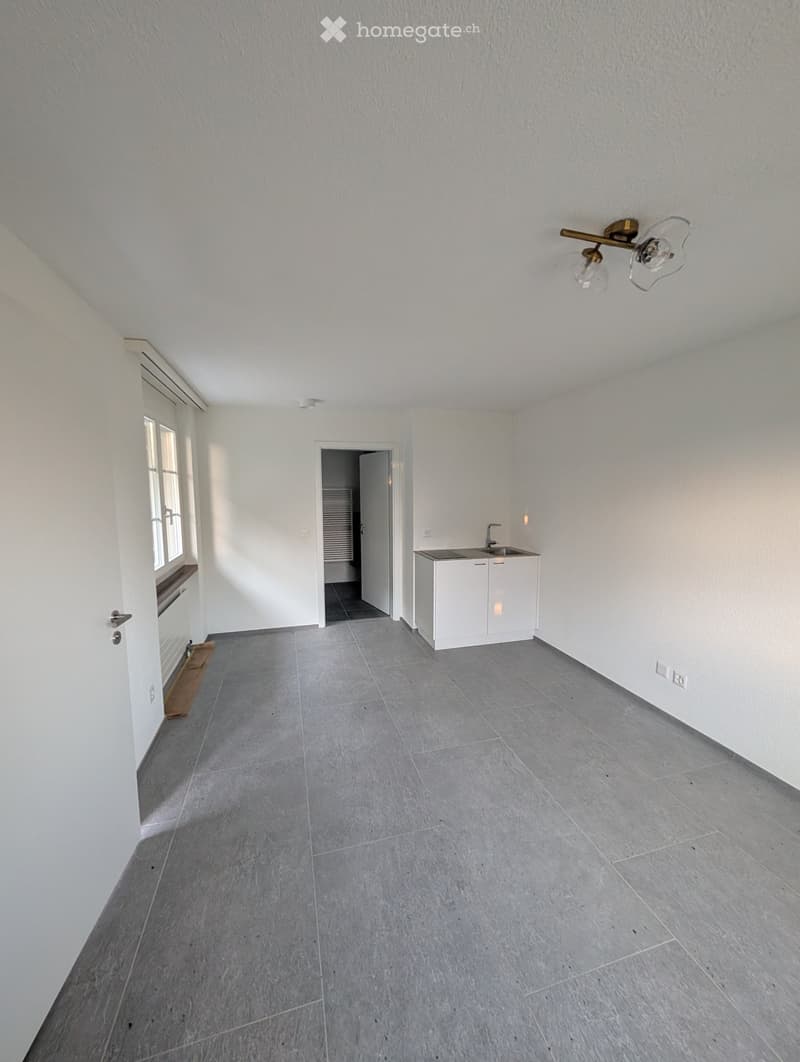 Modernes Studio mit Hobby- und Waschraum in Hochdorf (1)