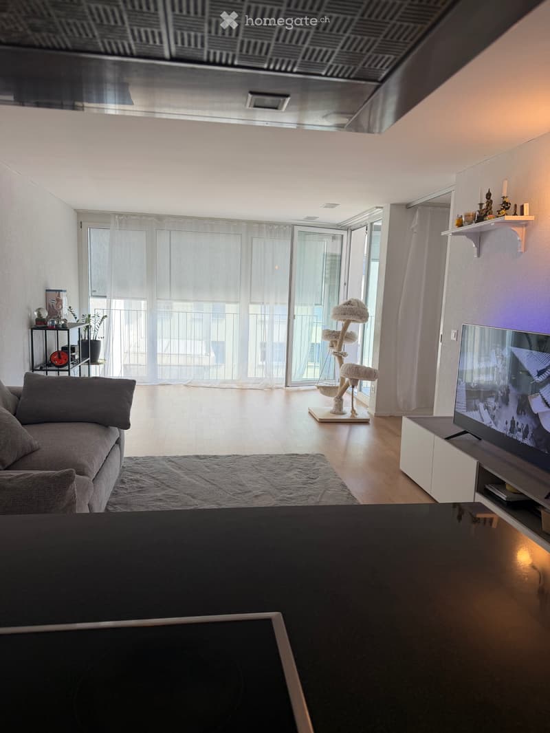 Nachmieter gesucht schöne 3.5Zimmer Wohnung (4)
