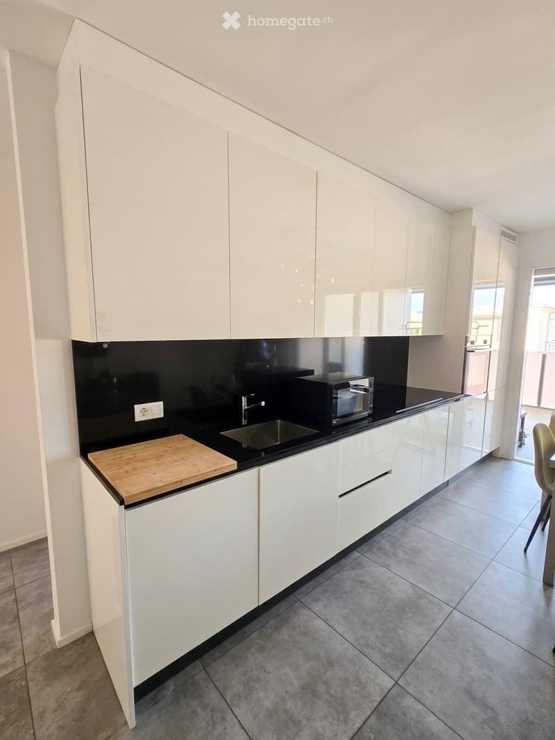 Subentro attico 3.5 Bellinzona ampio terrazzo (10)