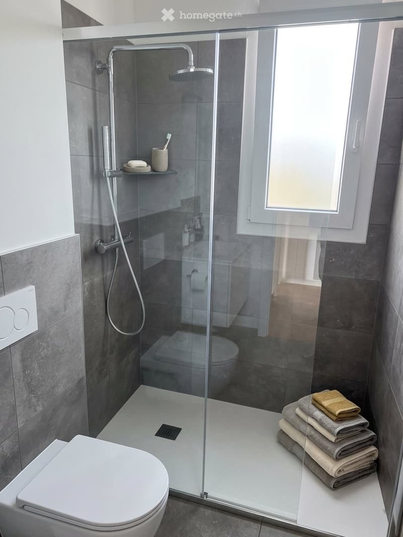 Subentro attico 3.5 Bellinzona ampio terrazzo (3)