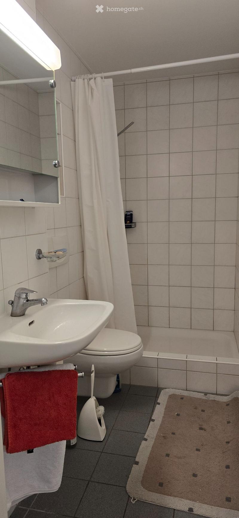 Möblierte wohnung (4)
