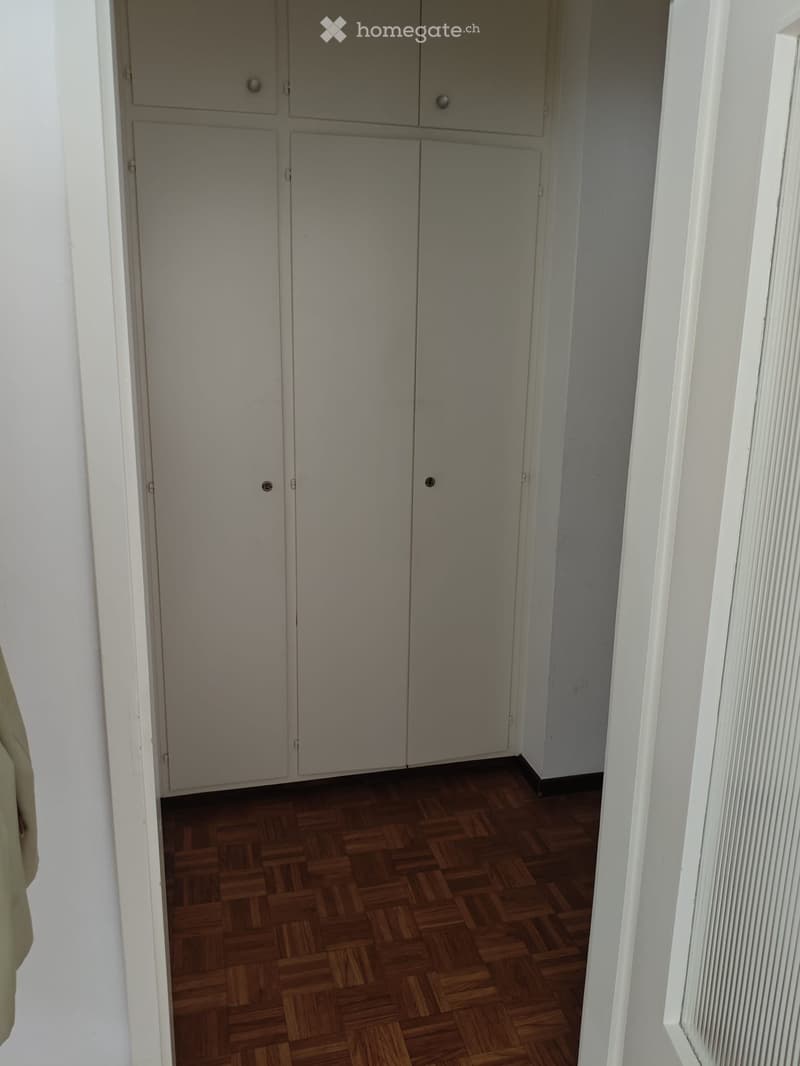 Furnished Studio Apartment near USI/SUPSI (3)