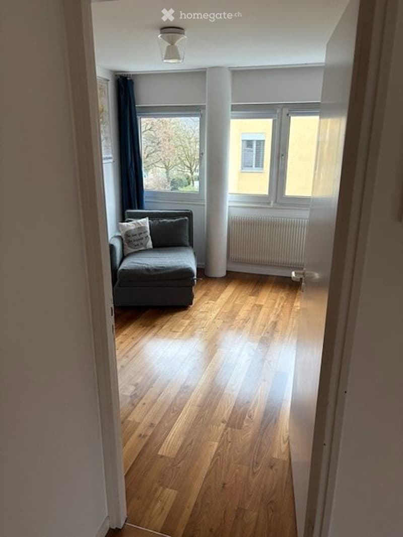 Befristet, möbliert: stilvolle 6.5-Zimmer Gartenwohnung (13)