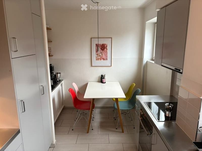 Befristet, möbliert: stilvolle 6.5-Zimmer Gartenwohnung (6)