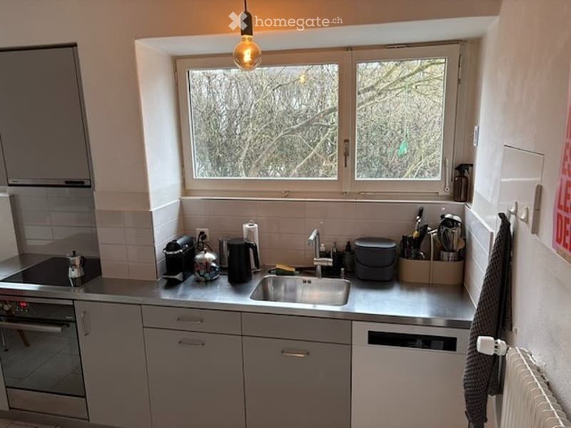 Befristet, möbliert: stilvolle 6.5-Zimmer Gartenwohnung (7)