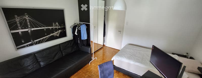 2 tram stops from ZRH, Cleaning Service - No Anmeldung (4)
