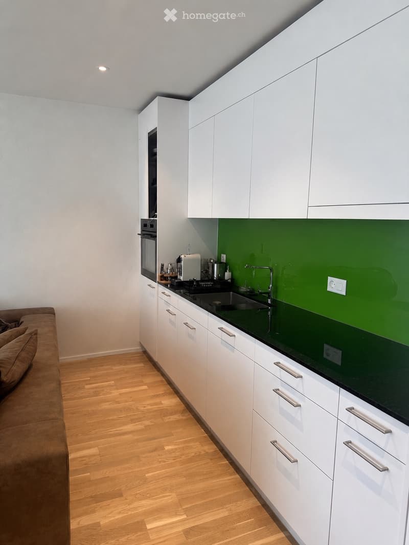 Moderne Wohnung mit Garage und Einstellplatz (1)