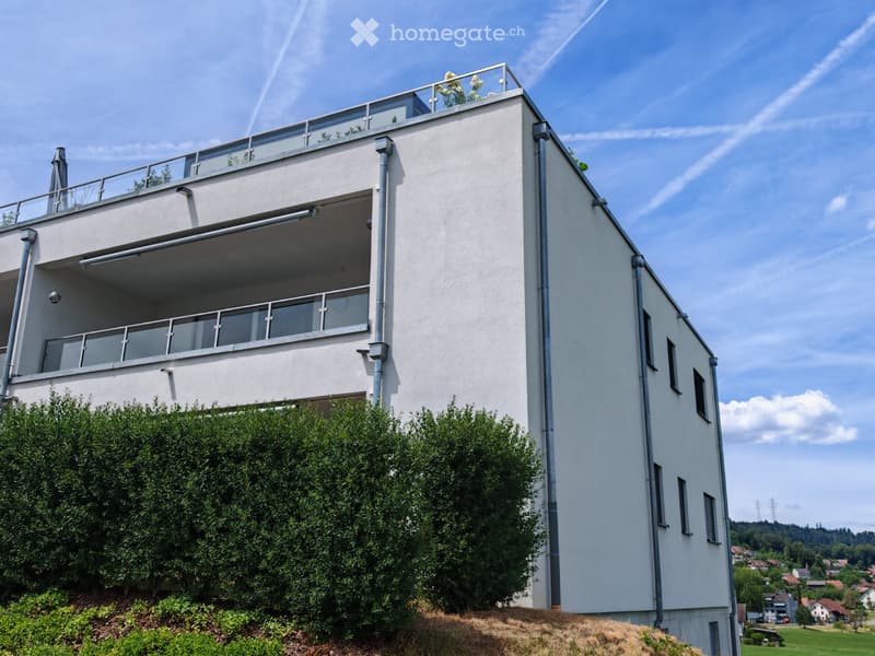 Naturnahe schöne 3.5 Zi. Wohnung zum geniessen (1)