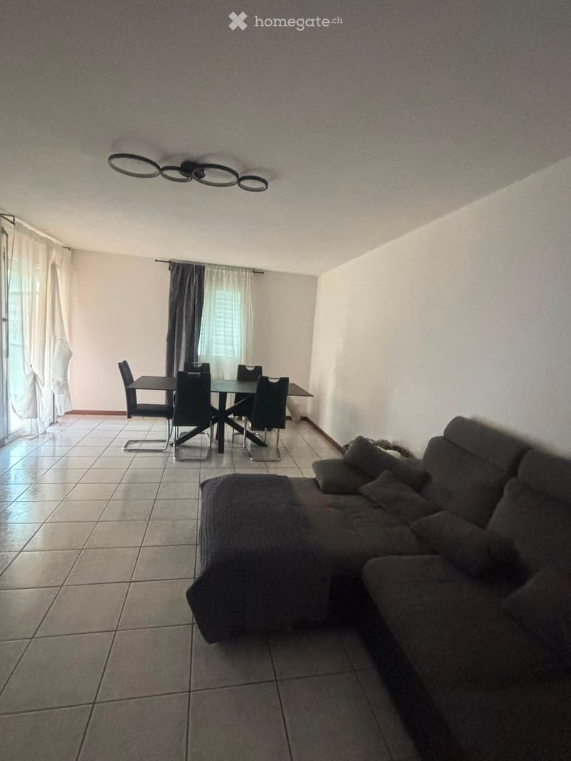 3.5 locali con ampio terrazzo Bironico (2)