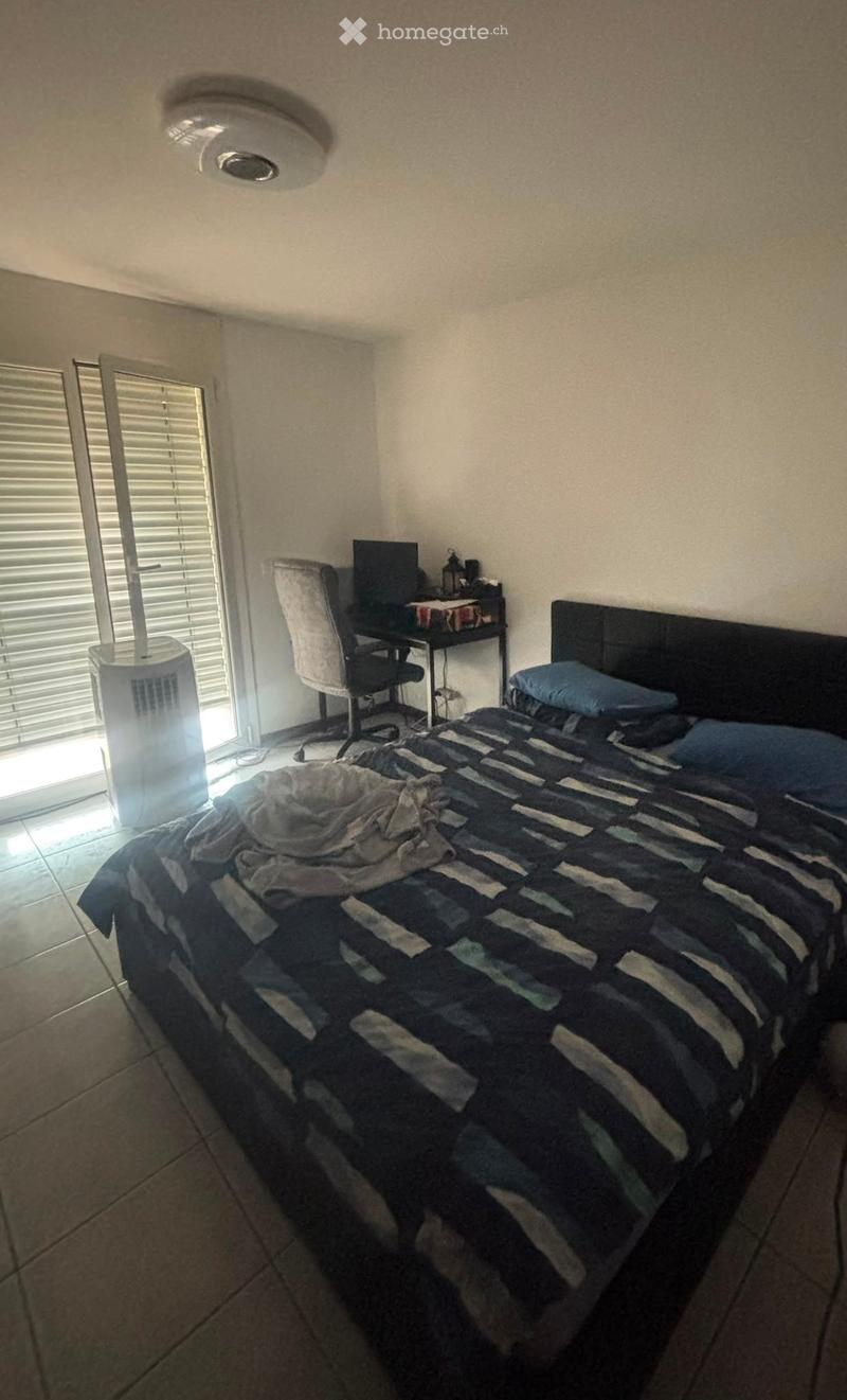 3.5 locali con ampio terrazzo Bironico (4)