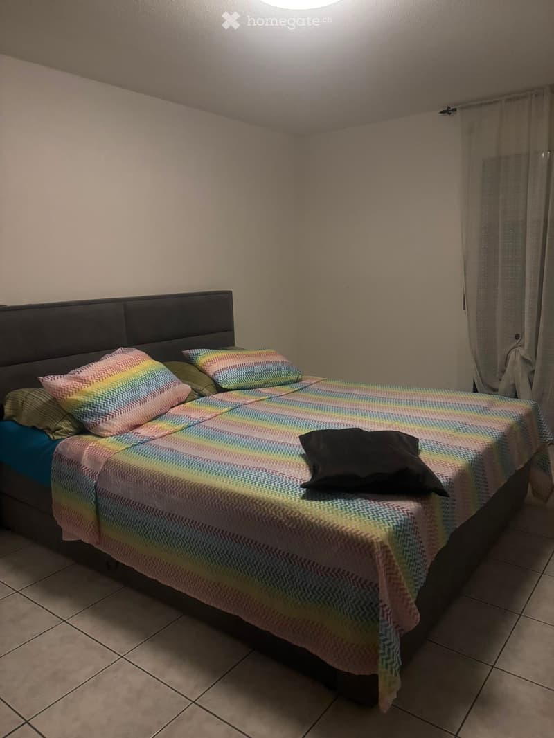 3.5 locali con ampio terrazzo Bironico (3)