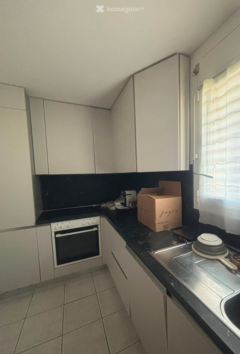 3.5 locali con ampio terrazzo Bironico (5)