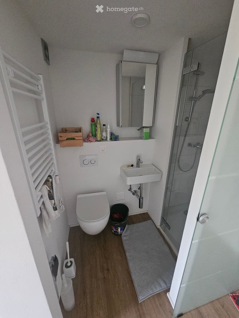 Nachmieter für 1,5 Zimmer Wohnung gesucht (5)