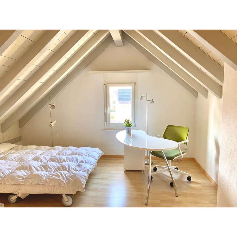 Zwei gemütliche Dachzimmer (3)