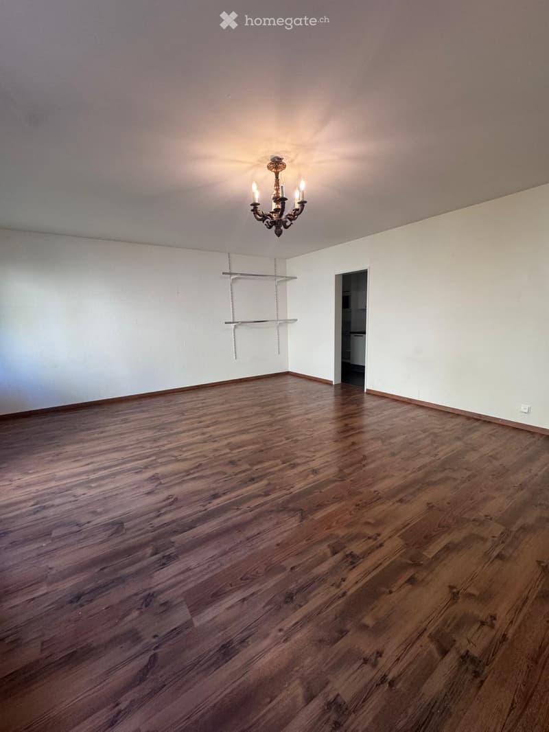 1.5-Zimmer-Wohnung in Basel-Riehen (1)