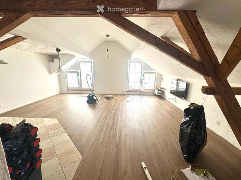 Helle 3 -Zimmer-Dachwohnung mit Loft-Charakter und Weitblick (2)