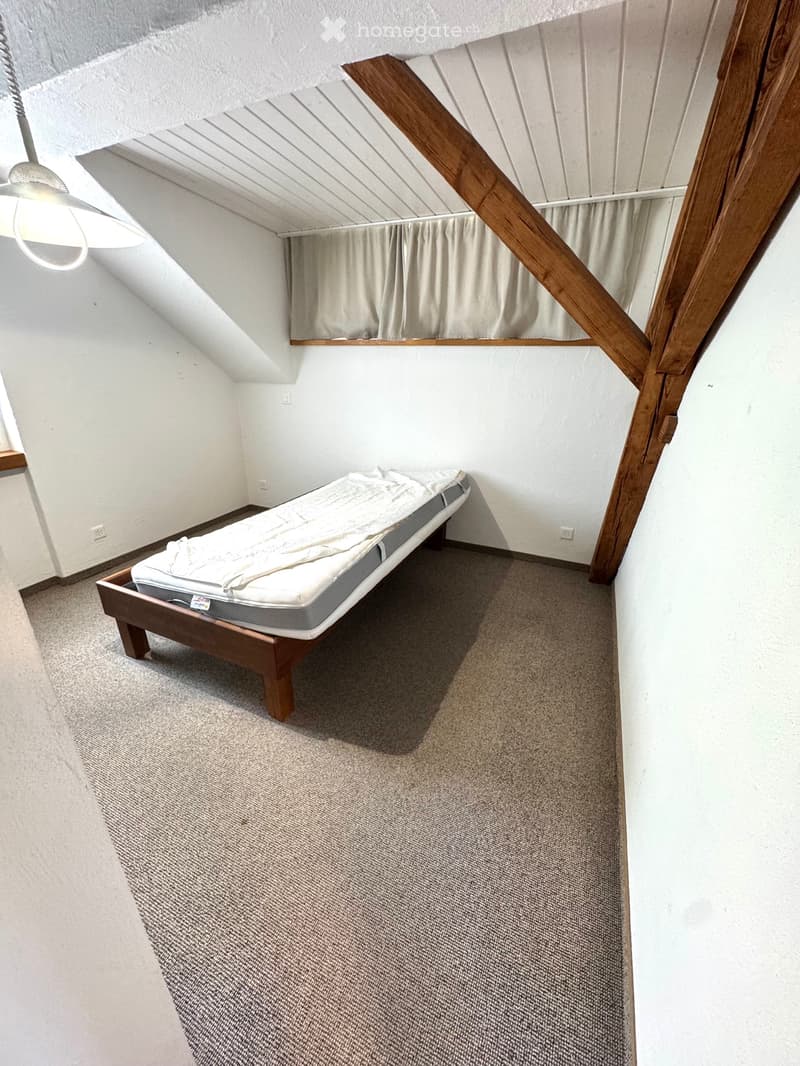 Helle 3 -Zimmer-Dachwohnung mit Loft-Charakter und Weitblick (5)