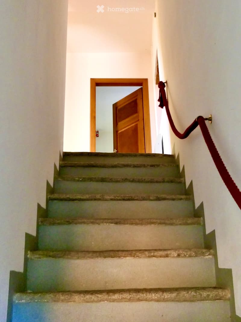 Casa unifamiliare tipica ticinese (3)