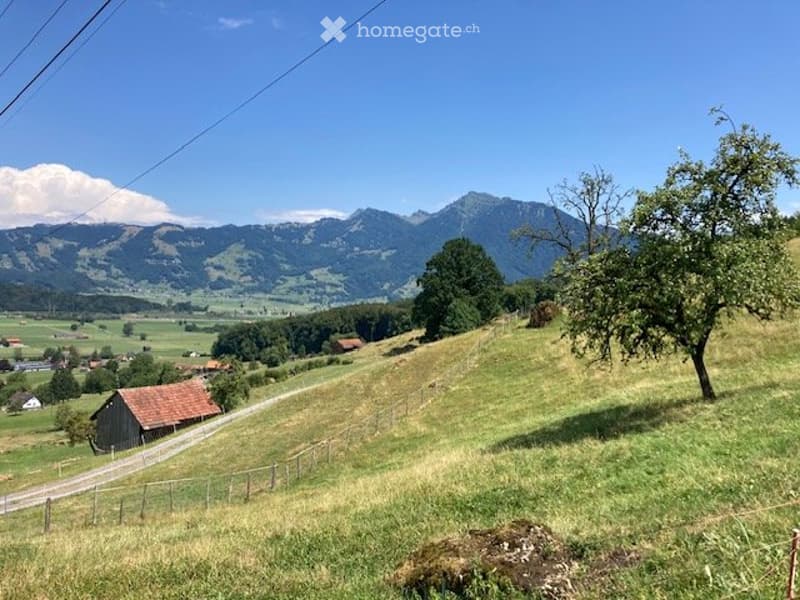 Haus in der Natur (2)