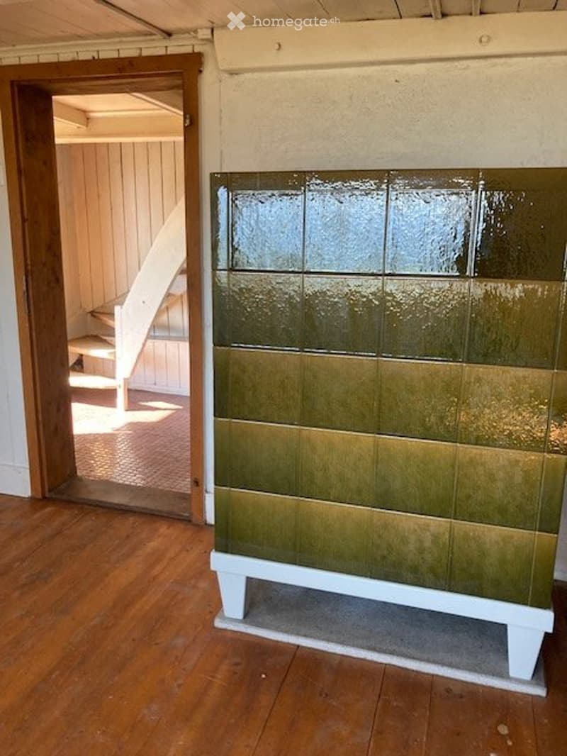 Haus in der Natur (4)