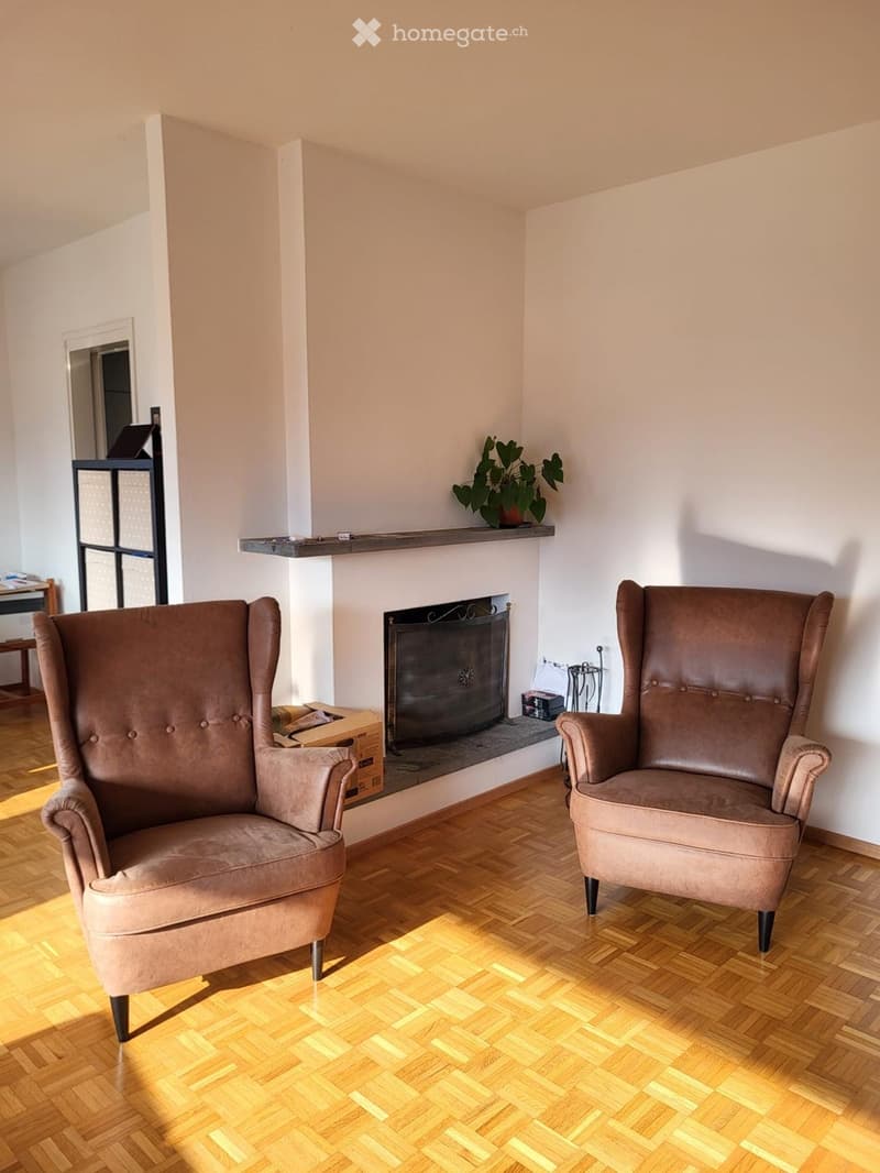 Affittasi appartamento 4.5 ad Ascona (2)