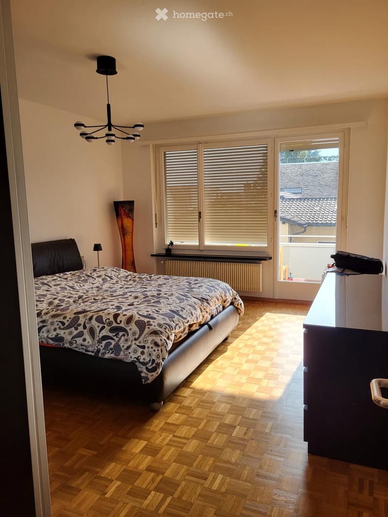 Affittasi appartamento 4.5 ad Ascona (3)