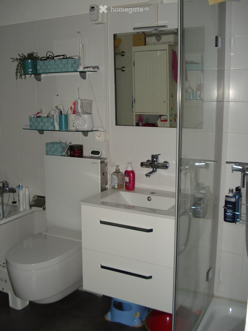 3.5 Zimmerwohnung in Würenlingen (5)