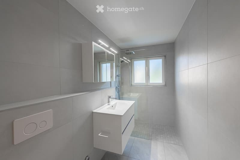 Wunderschöne komplett renovierte Wohnung mit toller Aussicht (2)