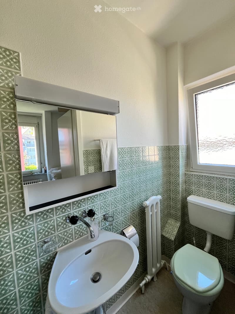 Wohnung am Zürichberg, befristet 16.08-13.09.2026 (4)