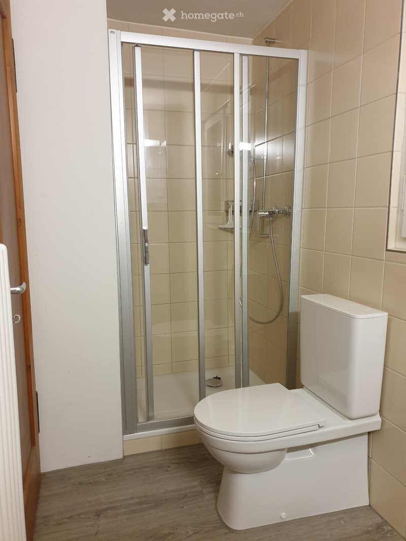 Nachmieter gesucht für heimelige Wohnung (4)