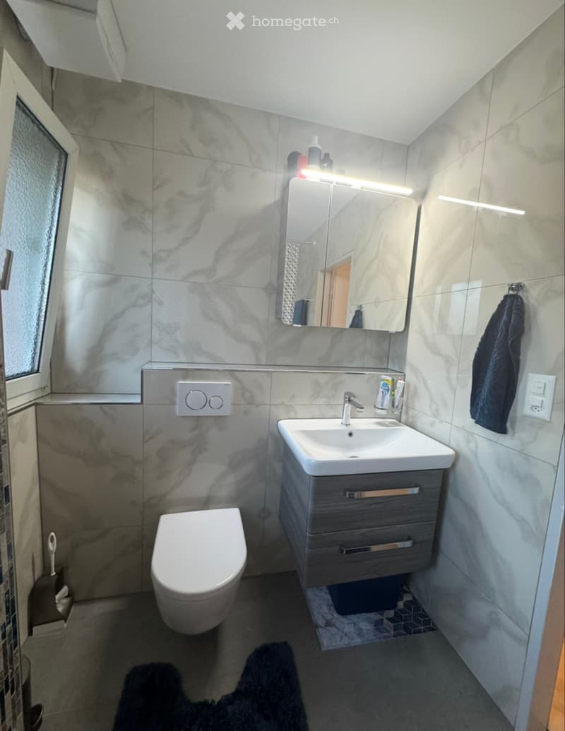 4-Zimmer Wohning mit Gewerberaum (4)