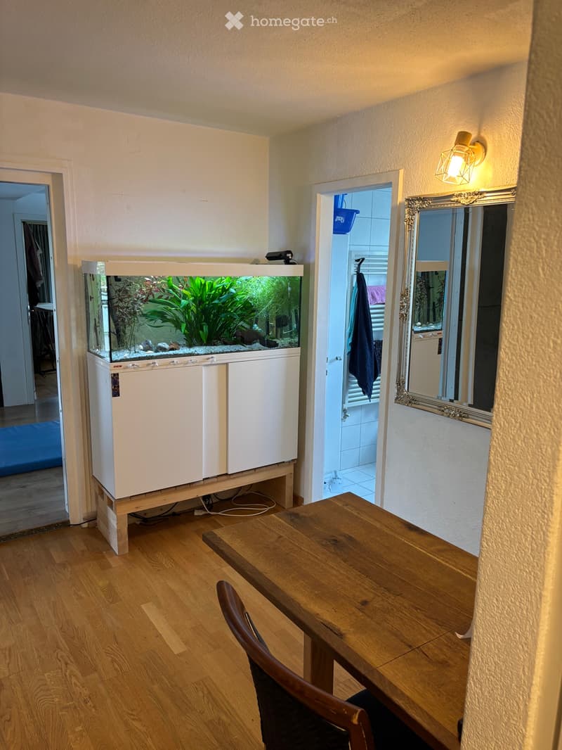 WG 2 Zimmer für einen Mann (3)
