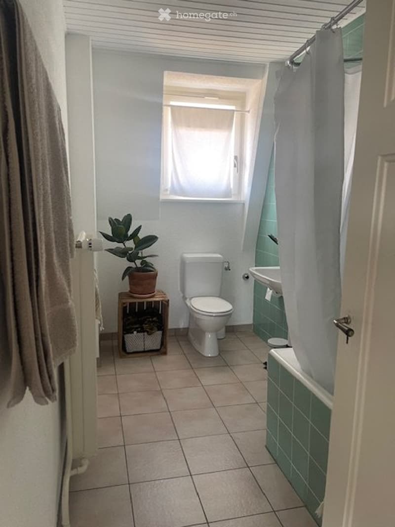 Charmante 3.5-Zimmer-Wohnung mit Cheminée (4)