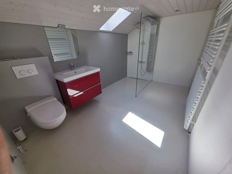 Einfamilienhaus mit Sauna zu vermieten (3)