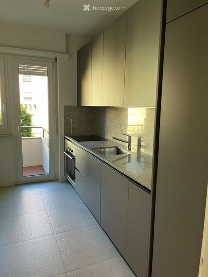 Appartamento di 4½ locali, ristrutturato a nuovo (2)