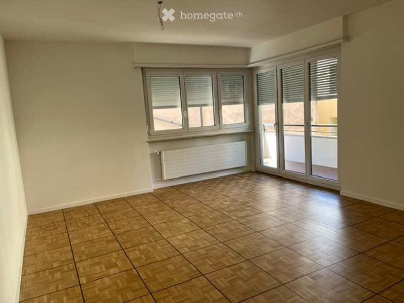 Appartamento di 4½ locali, ristrutturato a nuovo (4)