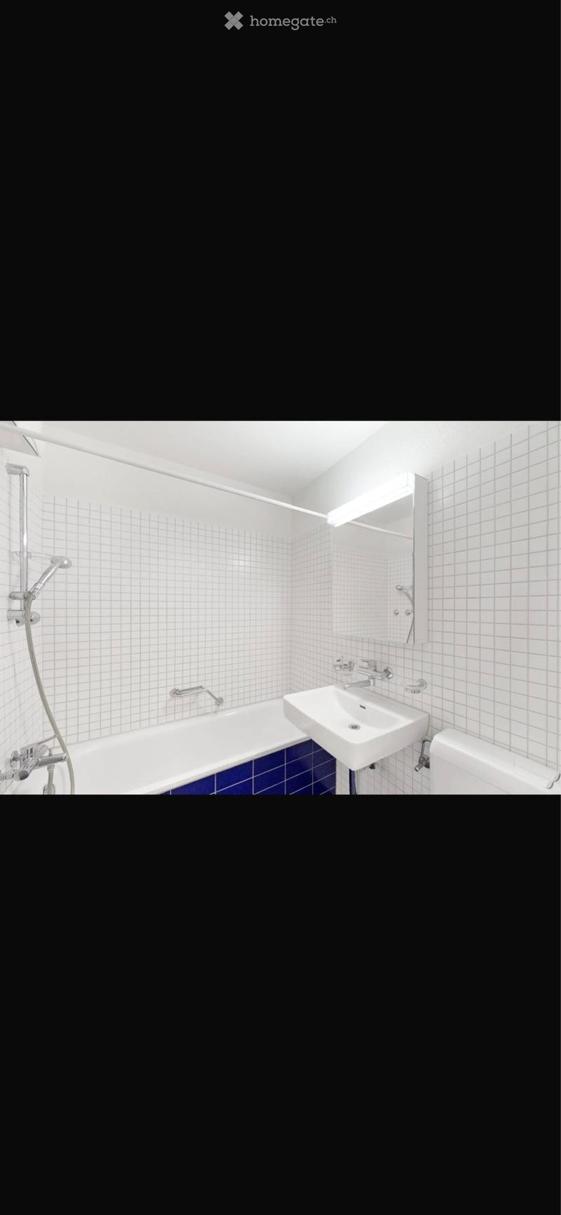 3.5 Zimmer-EG-Wohnung mit Gartensitzplatz (5)