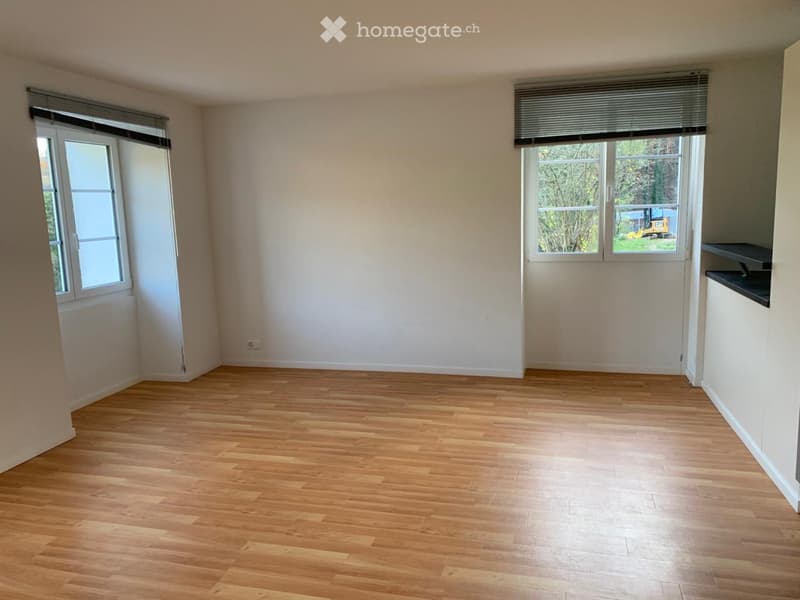4.5-Zimmer-Wohnung im Grünen (5)