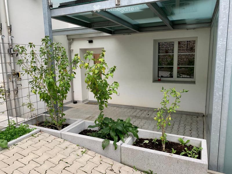 4.5-Zimmer-Wohnung im Grünen (1)